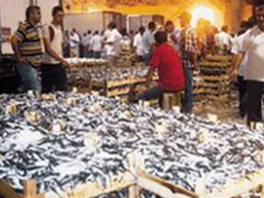 kumkapi balik hali tasiniyor ntv