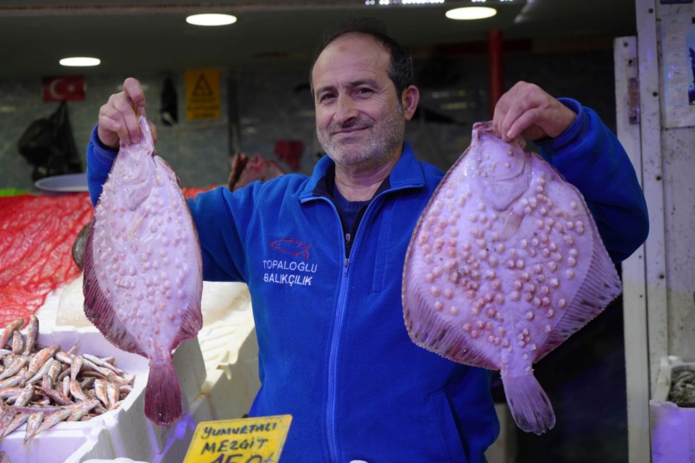 Son Çağrı: Balık Av Sezonu 15 Nisan'da Sona Eriyor! 75