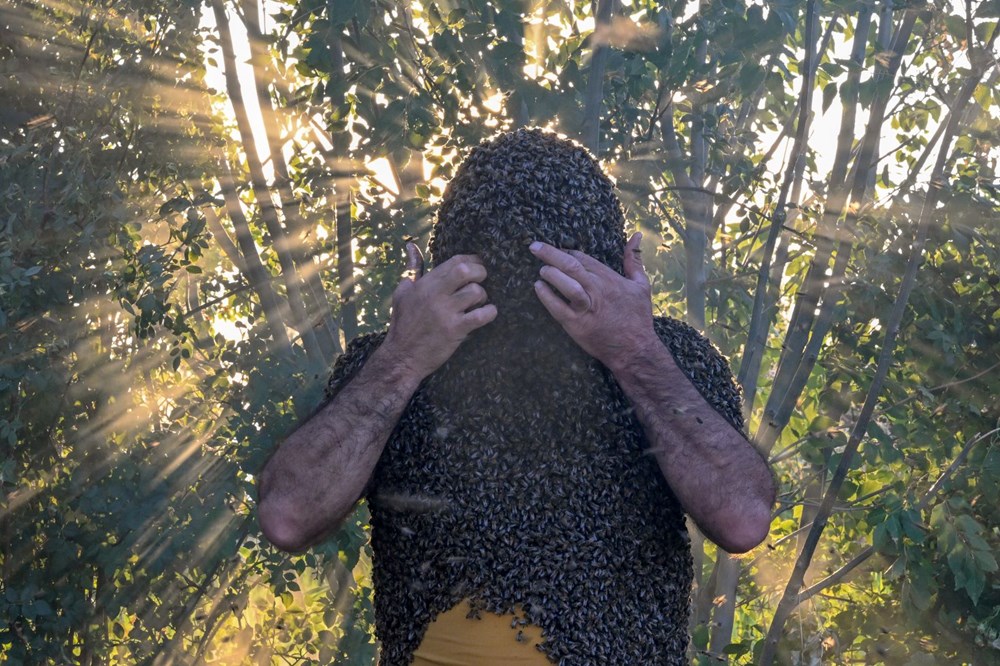 "Arı Adam"ın Guinness Rekorlar Kitabı hayaline ramak kaldı - 16