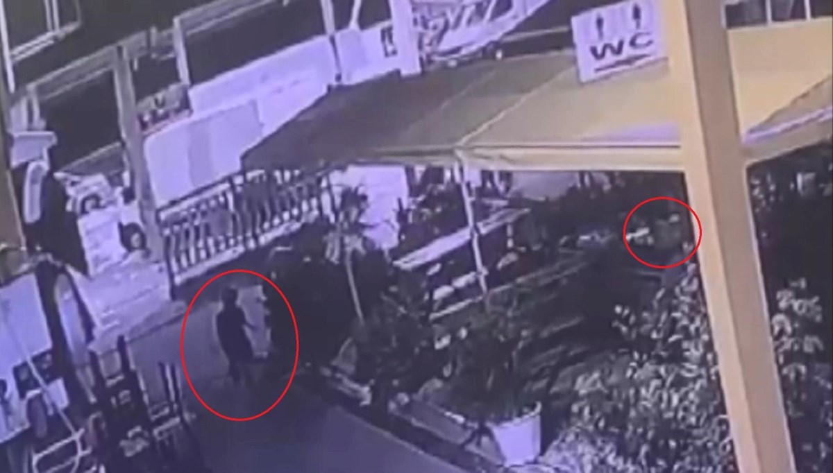 Çarşının maskotu Kontes’in acı ölümü: Oyun oynadığı çocuk kapağı kapattı, havasızlıktan can verdi Çarşının maskotu Kontes’in acı ölümü: Oyun oynadığı çocuk kapağı kapattı, havasızlıktan can verdi