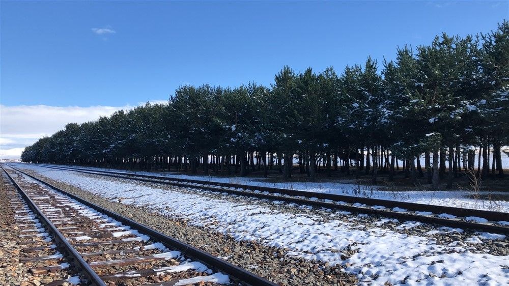 Bozkirin Ortasindaki Vaha Kars Selim Tren Istasyonu Ntv