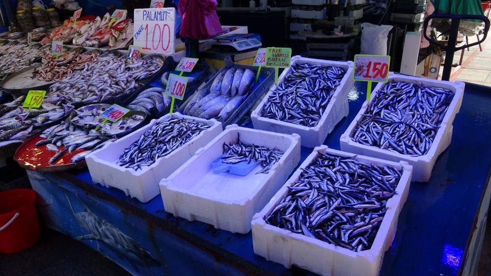Deniz Suyu Isınıyor, Çeşitlilik Sofrada: Balık Tezgâhlarında Paradoks 77 EzgvSaE MkGIHAIgqgX75Q