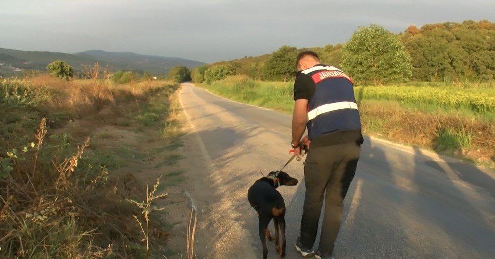 Arama çalışmalarında 85'inci gün | Korhan Berzeg'in köpeği Tina'nın tahlil sonuçları belli oldu - 7