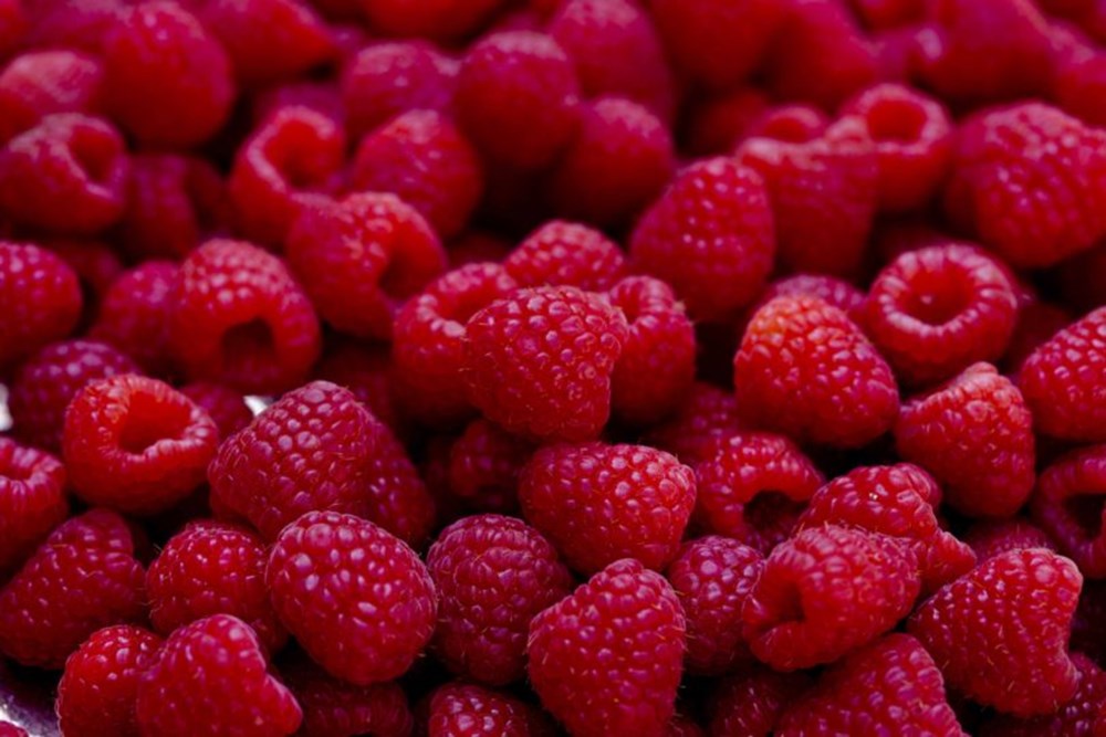 Bağışıklık sistemini güçlendiren besinler (50 sağlıklı besin) - 5