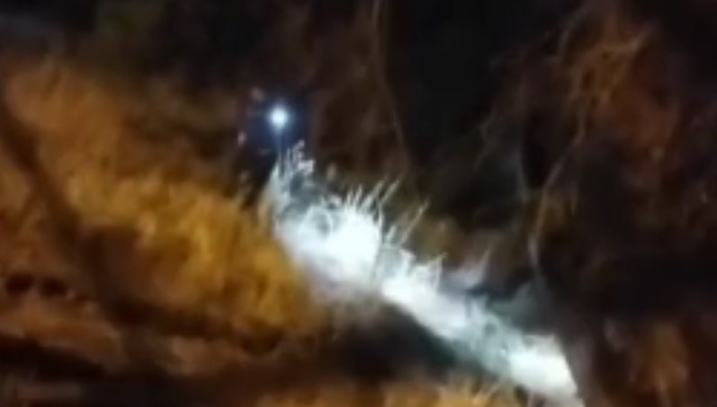 Otluk alanda ateş yaktılar
