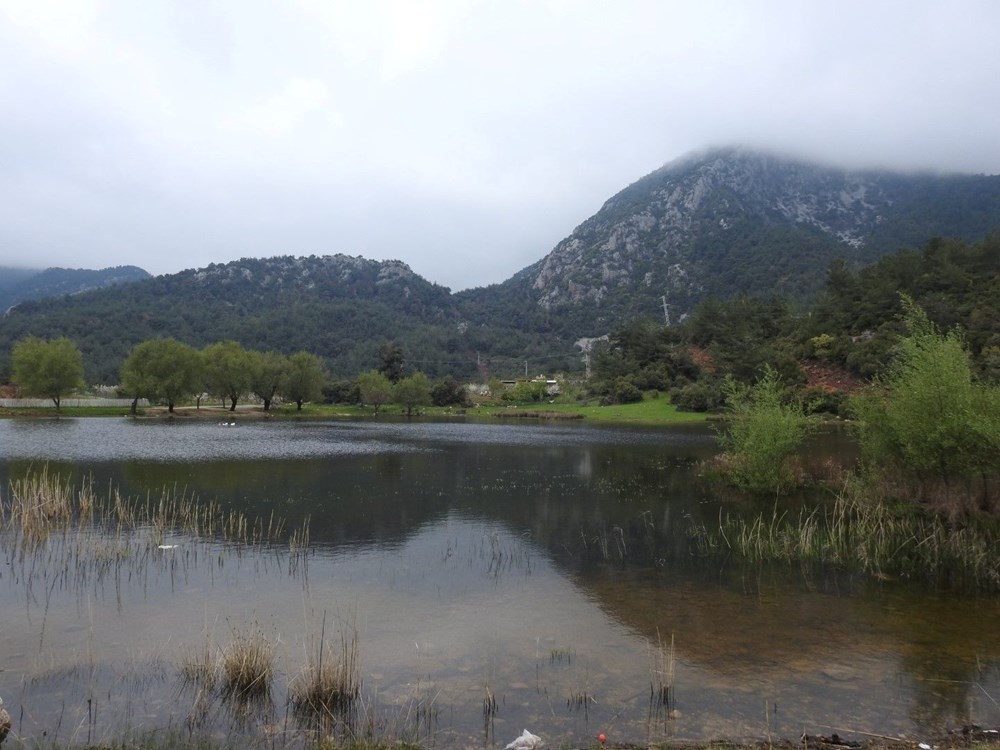 Az tipler ortasında yer alıyor: 10 yıl sonra birinci defa Manisa'da görüldü 74 F2d6D4bEZU2T87EiARNigQ