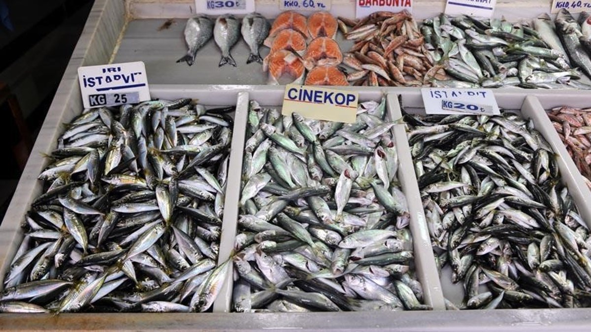 Şubat ayında hangi balıklar yenmeli? Düzenli balık tüketmenin faydaları