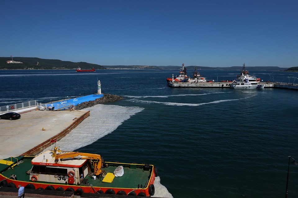 Deniz salyası rotasını Ege'ye çevirdi - 2