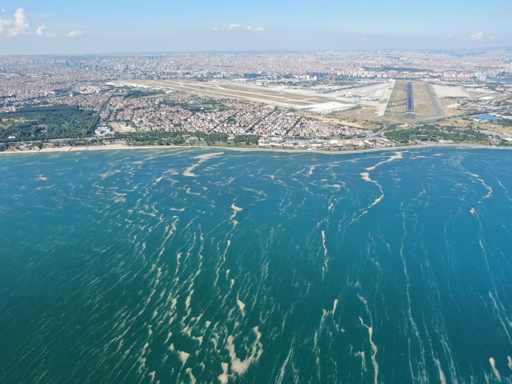 Deniz salyası bu kez Bakırköy kıyılarını sardı - 8