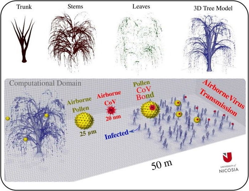 Corona virüs ağaçlardaki polenler aracılığıyla en az 20 metre uzağa yayılıyor - 2