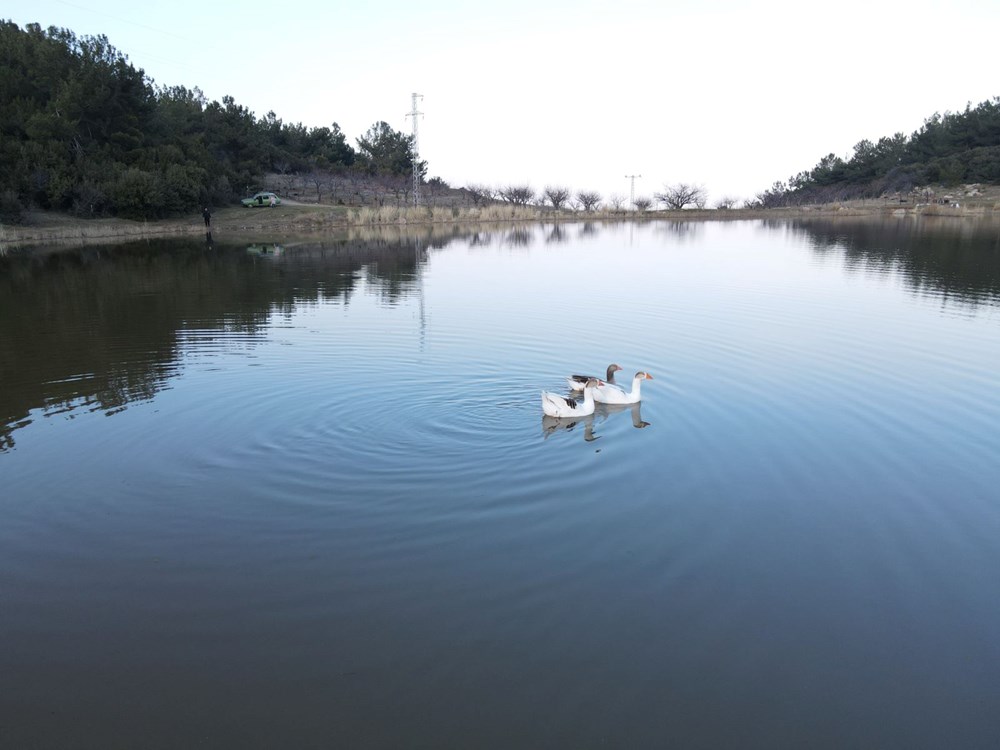 Marmara Gölü kuruyunca göçmen kuşların rotası değişti - 5