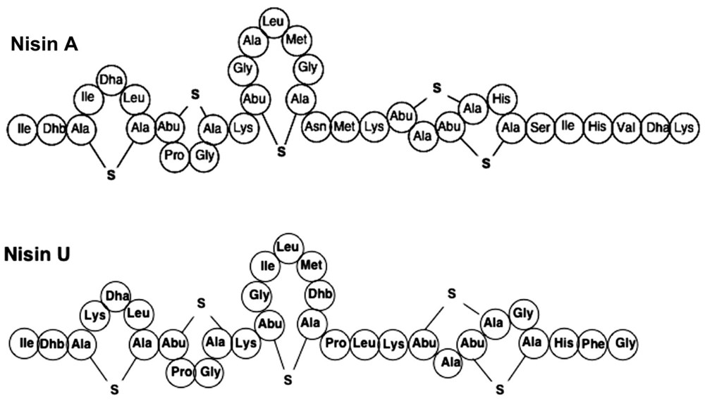 Bilim insanlarından corona virüse karşı bağışıklığı güçlendirebilecek beş gıda önerisi - 5