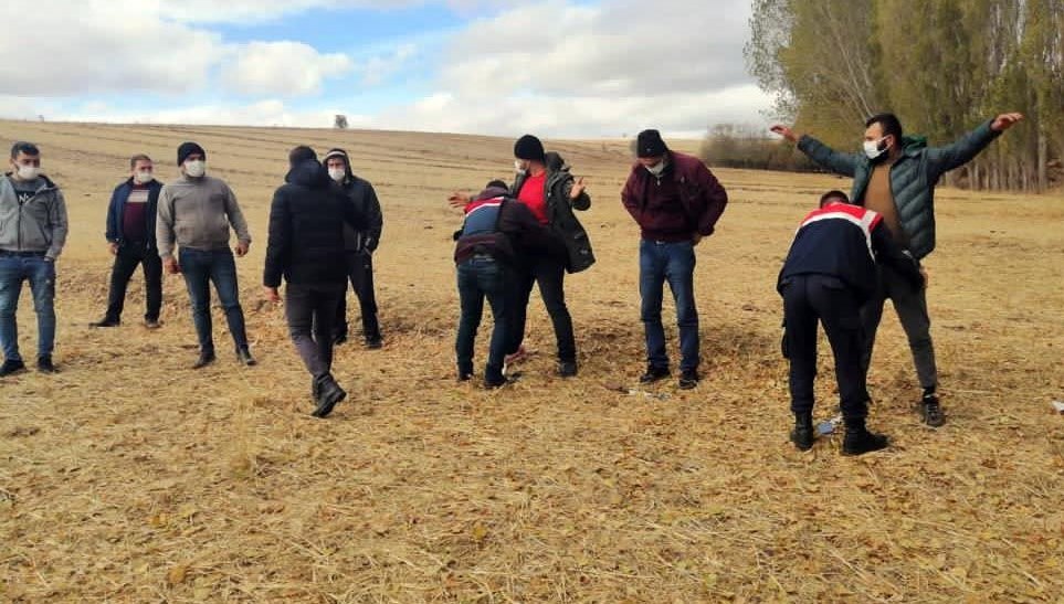 Kangal Köpek Dövüşleri