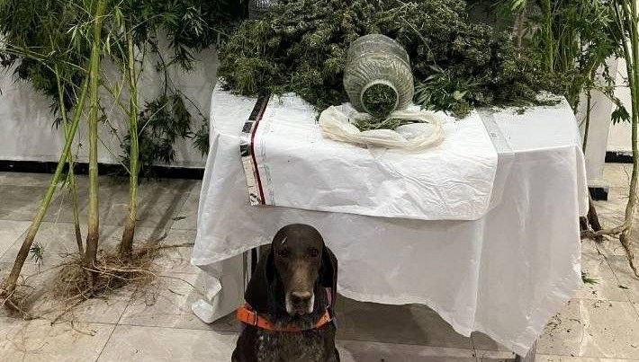 Elazığ’da uyuşturu operasyonu: