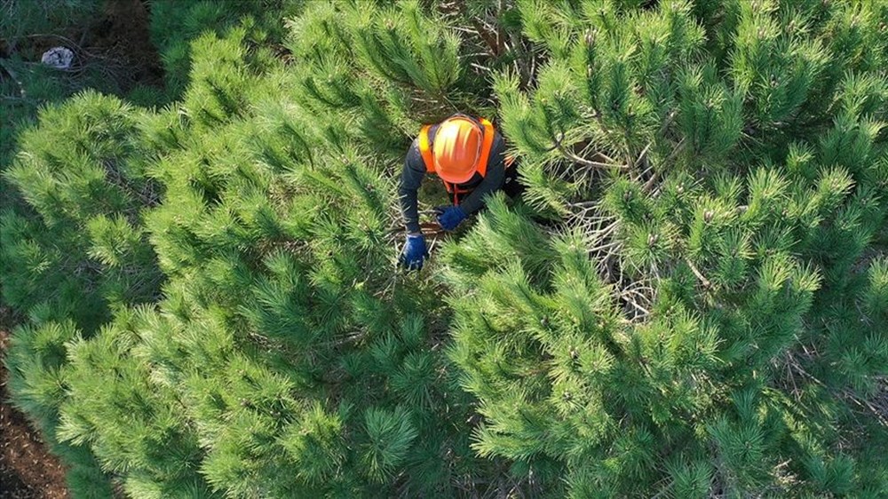 OGM 4.500 Personel Alımı: Kura Sonuçları ve Kazananlar Listesi Ne Zaman Açıklanacak? 75