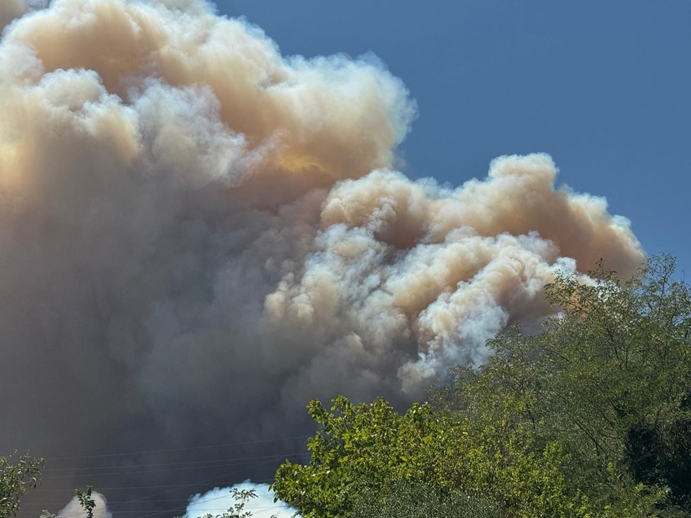 Sakarya'da yeni orman yangını başladı: Dumanlar gökyüzünü sardı - 2