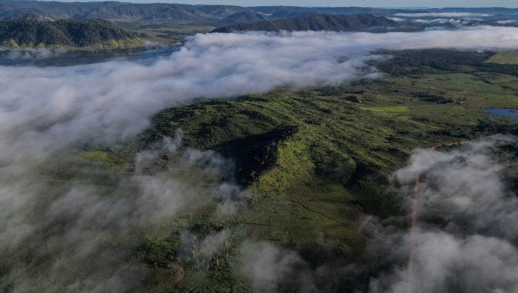 Amazon’da “iklim zaman makinesi” deneyi