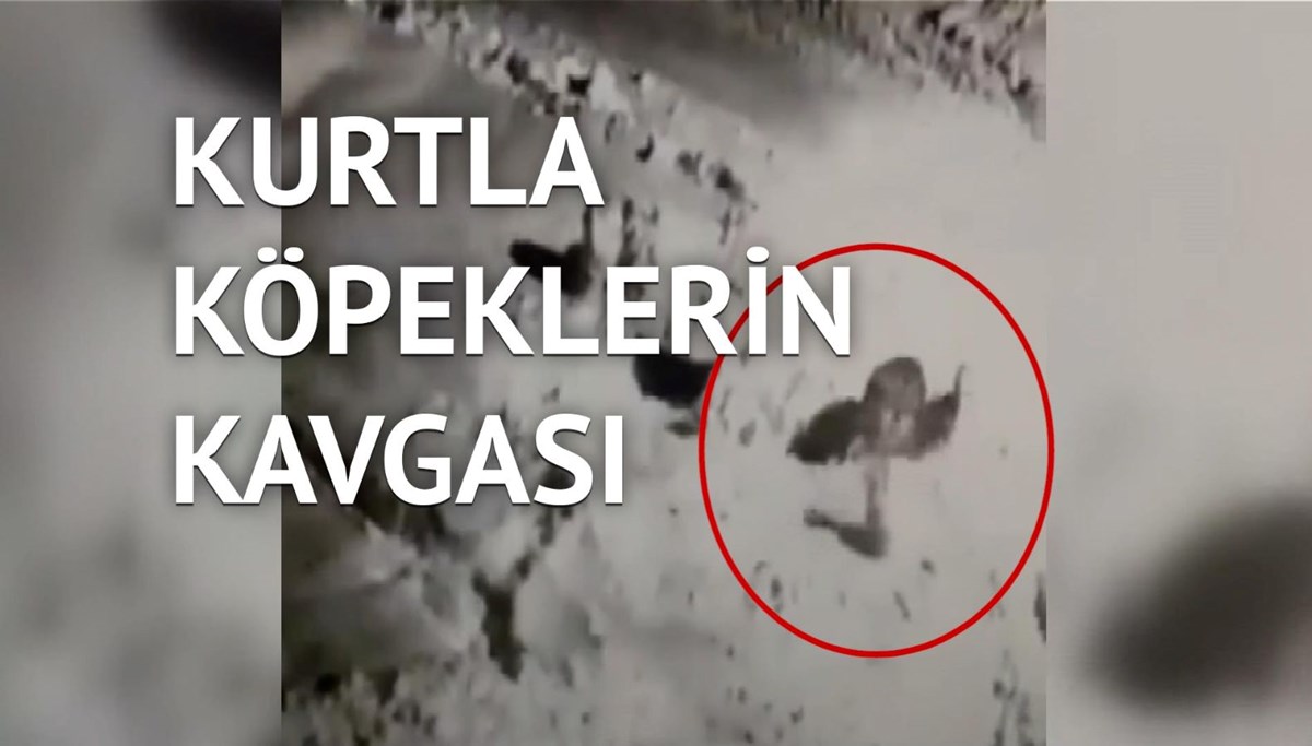 Maç anlatır gibi anlattı