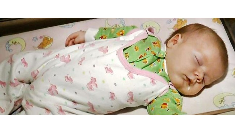 Sokak kedisi bebeği donmaktan kurtardı NTV
