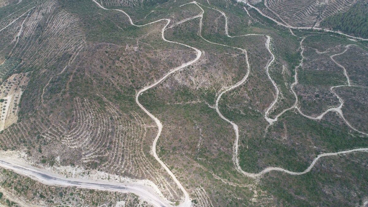 3 yıl önce büyük Manavgat yangının kaçan yaban hayvanlar sonunda geri döndü