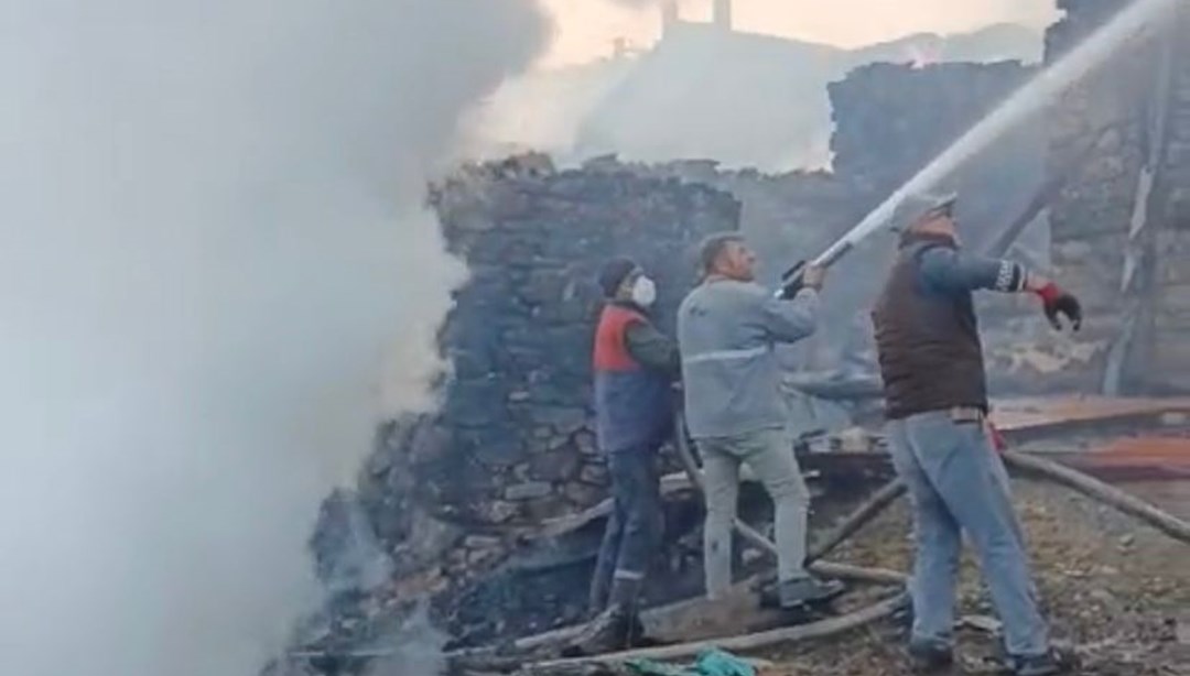 Kütahya'da yedi ev dört hayvan barınağı kül oldu