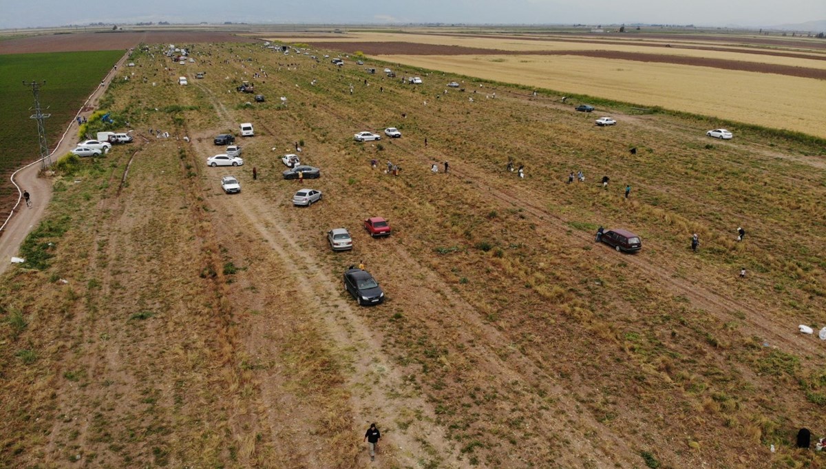 Hayrına dağıtılan 80 dönümlük soğana vatandaşlardan büyük ilgi