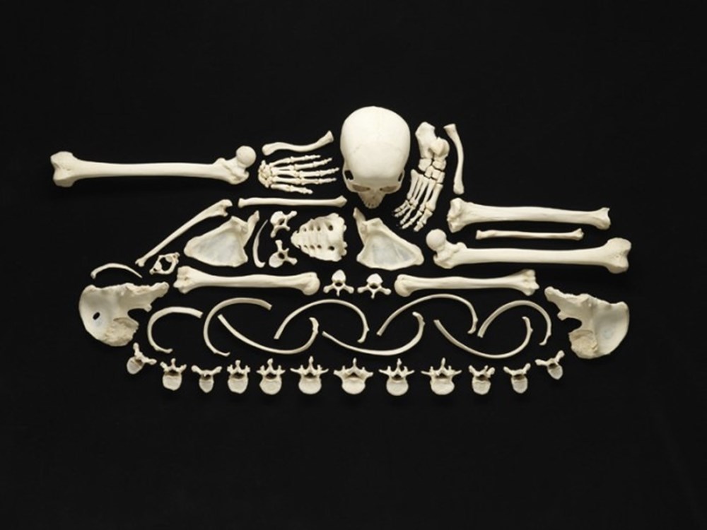 Bone art. Танк череп. Танк-скелет. Скелетные вещи. Череп на танке.