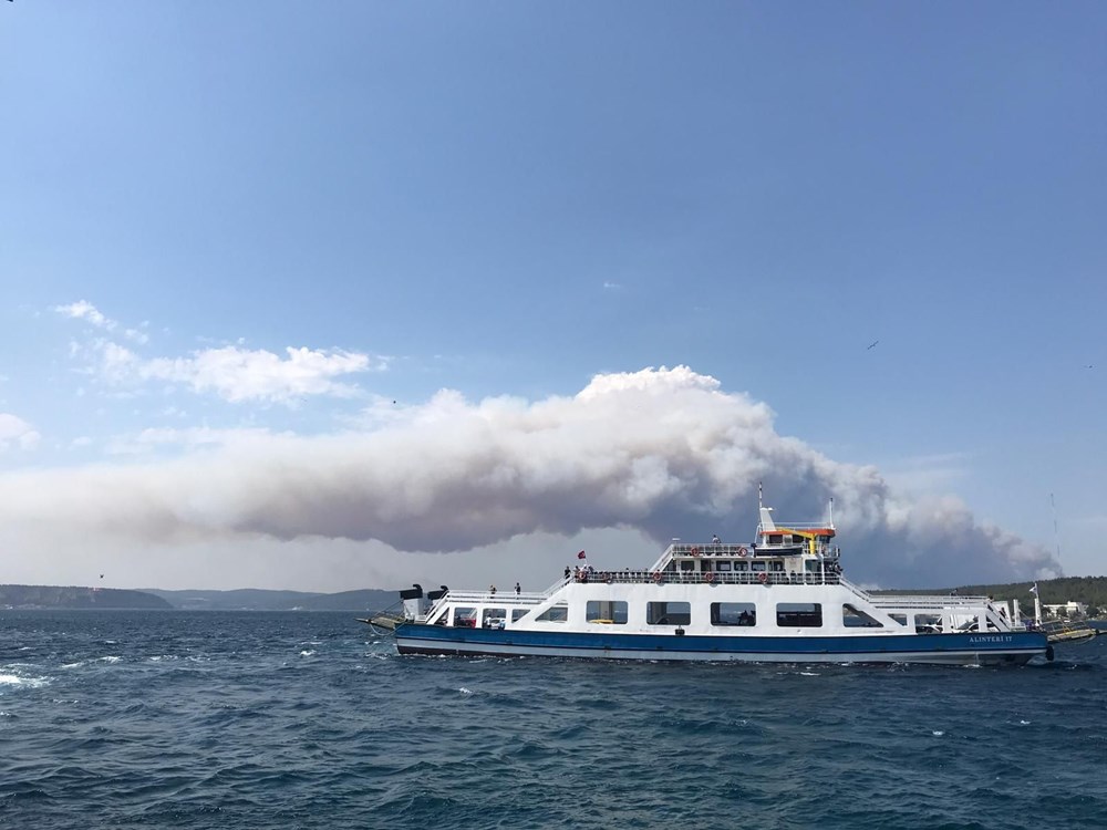 Gelibolu Yarımadası'nda orman yangını - 9