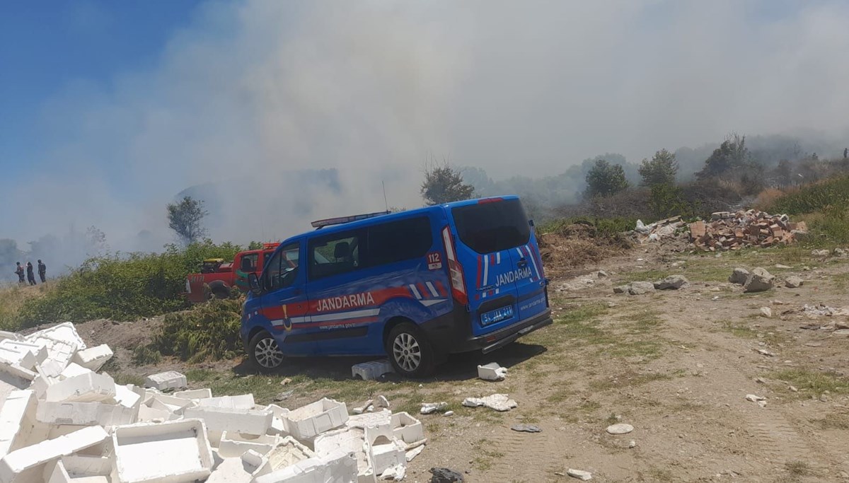 Yangın ormana sıçradı