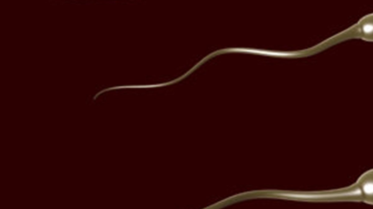 Sperm Sayisi 50 Yilda Yuzde 50 Azaldi Saglik Haberleri Ntv