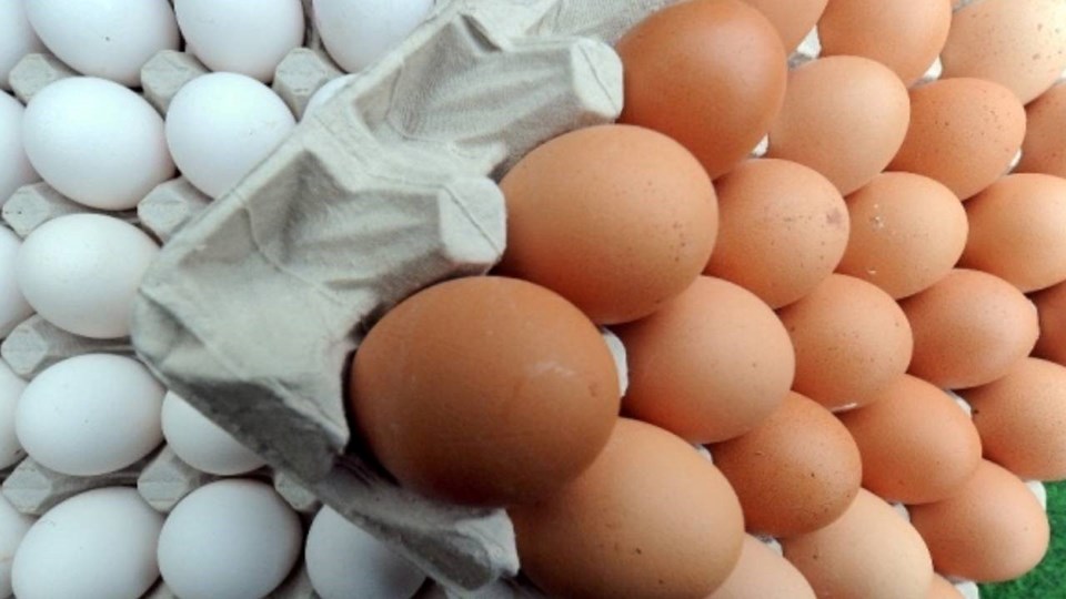 Yumurta satışında yeni dönem: Birçok düzenleme yapıldı - 1
