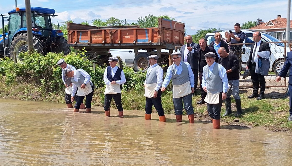 Bafra Ovası'nda çeltik ekimi başladı