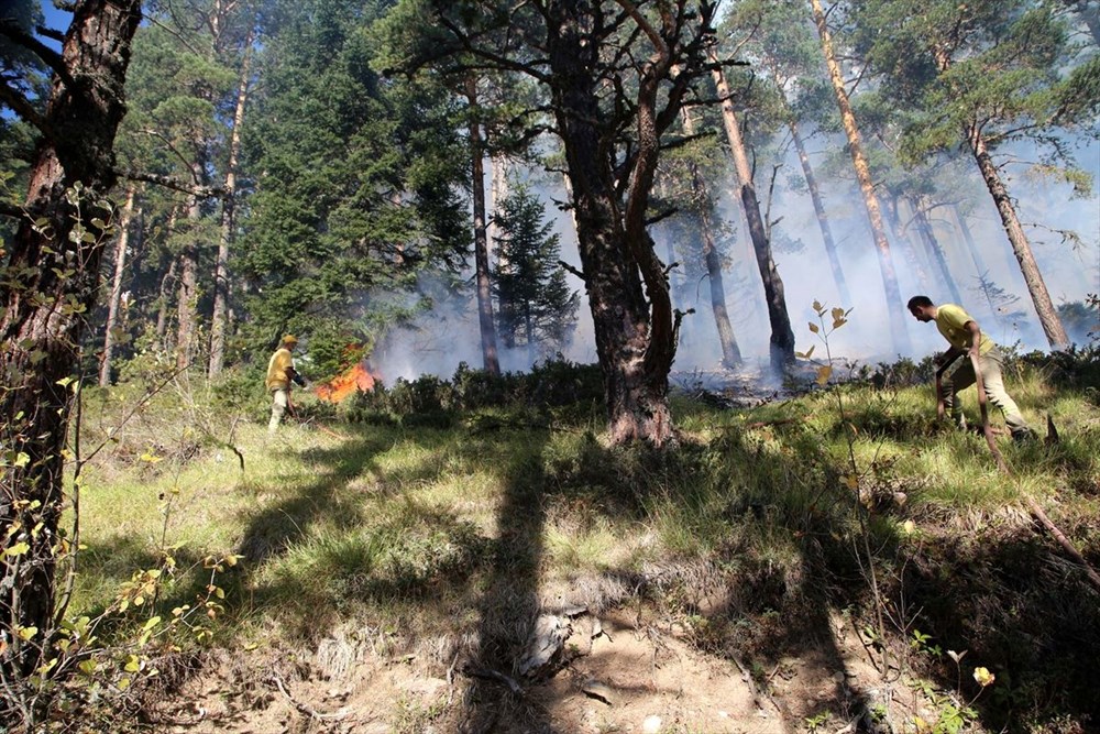 Kastamonu'daki yangın 4 gündür söndürülemiyor - 16