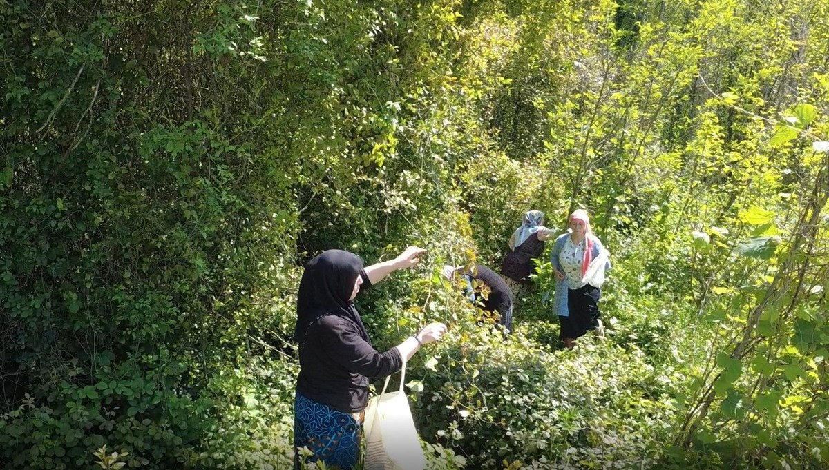 Toplaması zor yemesi kolay Toplaması zor yemesi kolay
