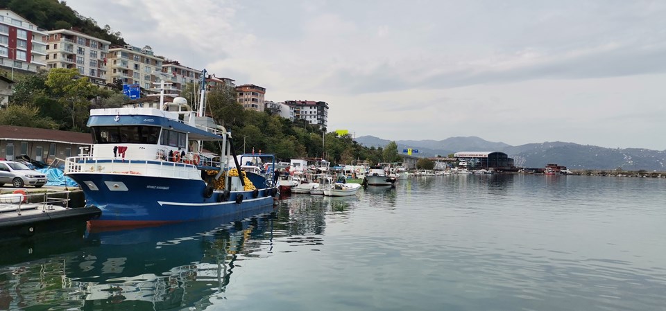 Balık stoklarında çöküş - 2