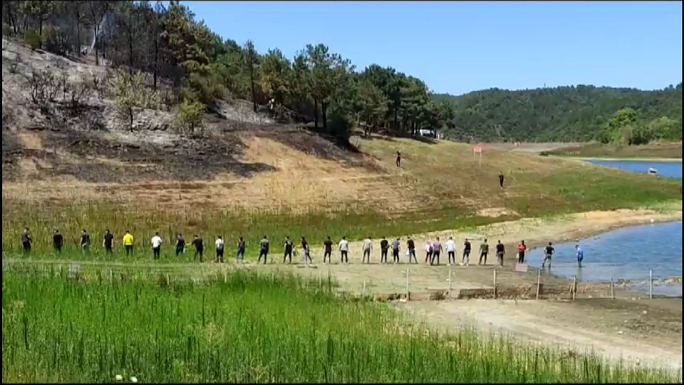 İstanbul Sultangazi'de orman yangını - 1