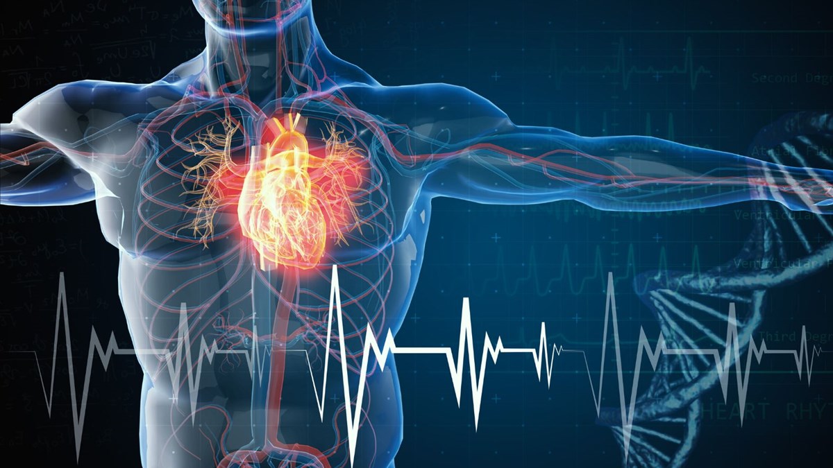 artan kalp atış hızı nedenleri yüksek tansiyon ve kontrol