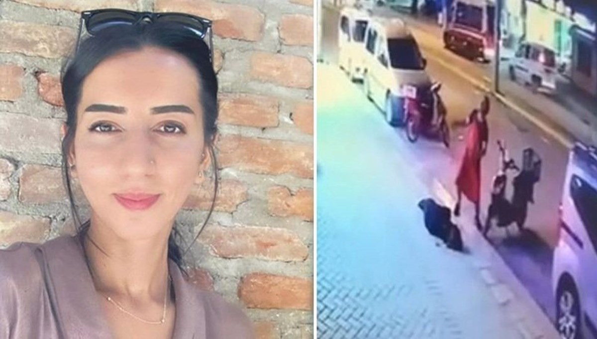 Zerin'in şüpheli ölümünde beraat kararı Yargıtay'da: İtiraz dilekçesinde bütün işkenceler anlatıldı