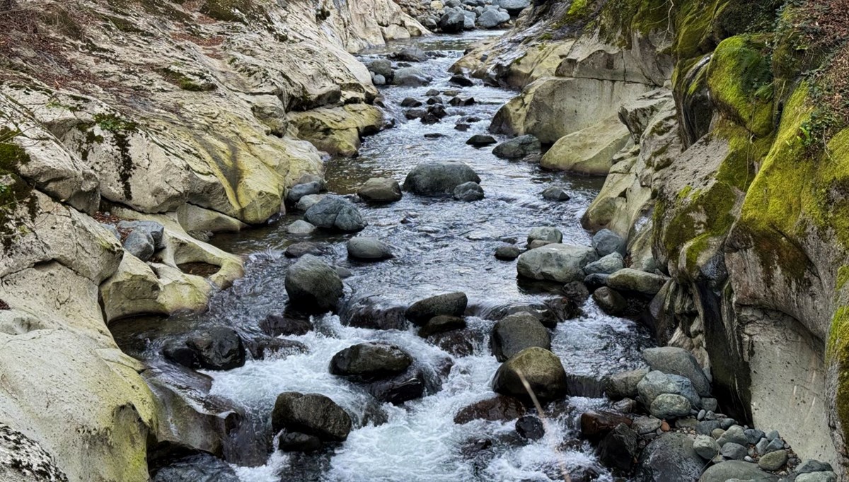 Karadeniz’in doğal güzelliği: Çamaş Kanyonu Karadeniz’in doğal güzelliği: Çamaş Kanyonu