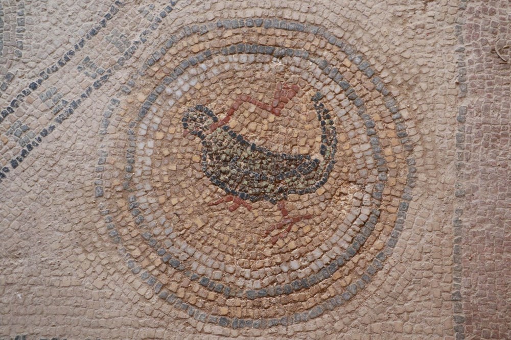 Balatlar Kazısı’nda, Zeugma'dakilere benzer mozaikler bulundu - 8
