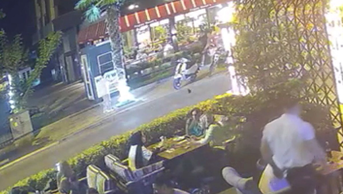 Palmiye ağacını ateşe verip kaçtı Palmiye ağacını ateşe verip kaçtı