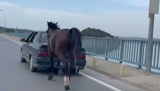 Ata eziyet eden adam tutuklandı