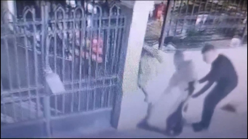 “Mama veriyorum” demişti, evinden 8 ölü kedi çıktı - 4