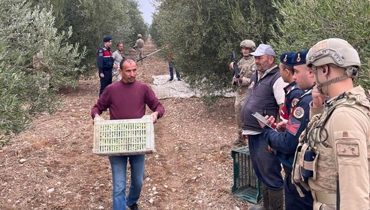 Zeytinliklerde komando nöbeti