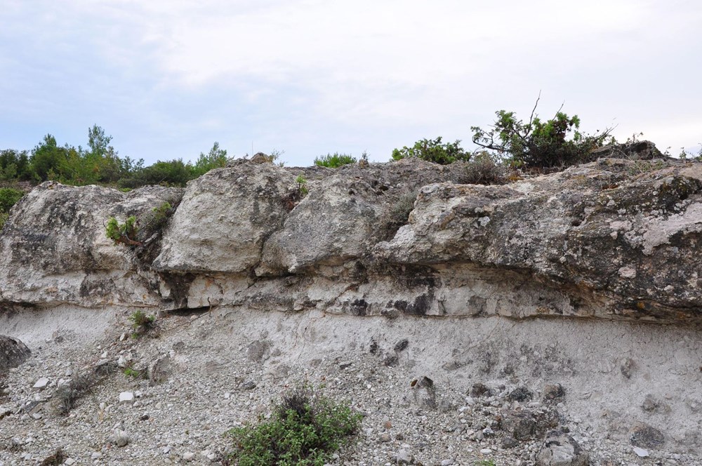 21 milyon yıllık fosil ağaç ormanı tehlikede - 3