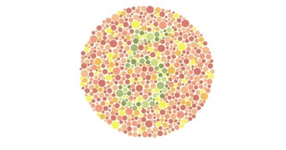 Normal görenler 5 rakamını görür. Tüm renklere karşı renk körü olanlar ise hiçbir şey göremez.