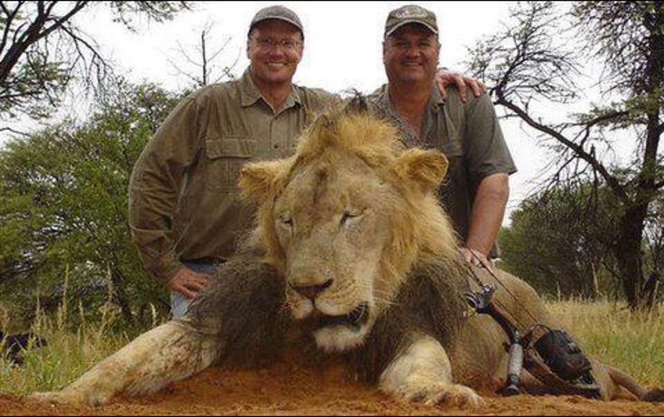 Afrika'nın en ünlü aslanını ABD'li dişçi vurmuş - 1