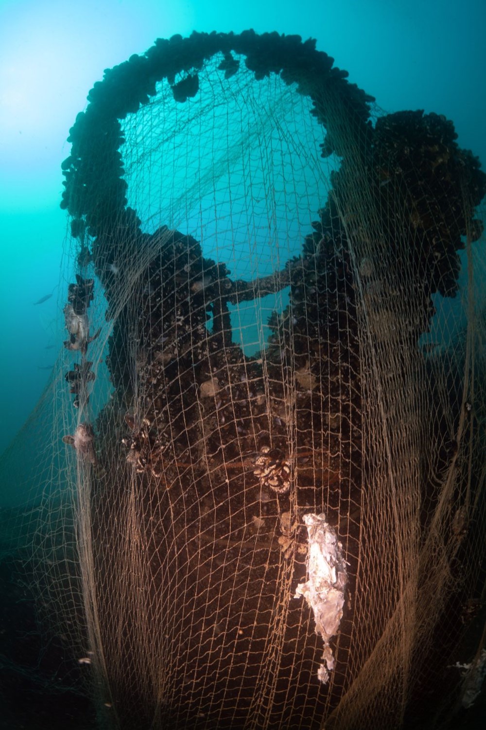 Hitler'in kayıp denizaltısı Sakarya'da görüntülendi - 2