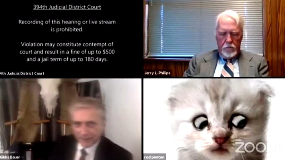 Online duruşmaya katılan avukat, kendisinin kedi olmadığına inandırmaya çalıştı - 1