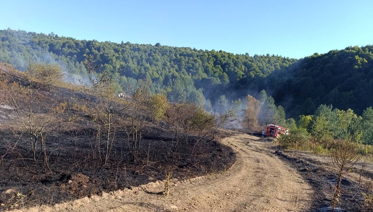 Bilecik'te orman yangını